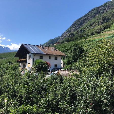 Pixnerhof - Urlaub Am Biohof Apartment Castelbello Luaran gambar