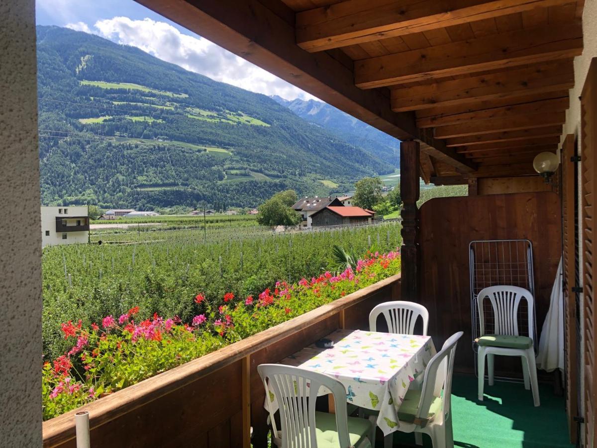 Pixnerhof - Urlaub Am Biohof Apartment Castelbello Luaran gambar