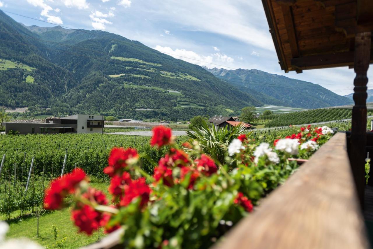 Pixnerhof - Urlaub Am Biohof Apartment Castelbello Luaran gambar