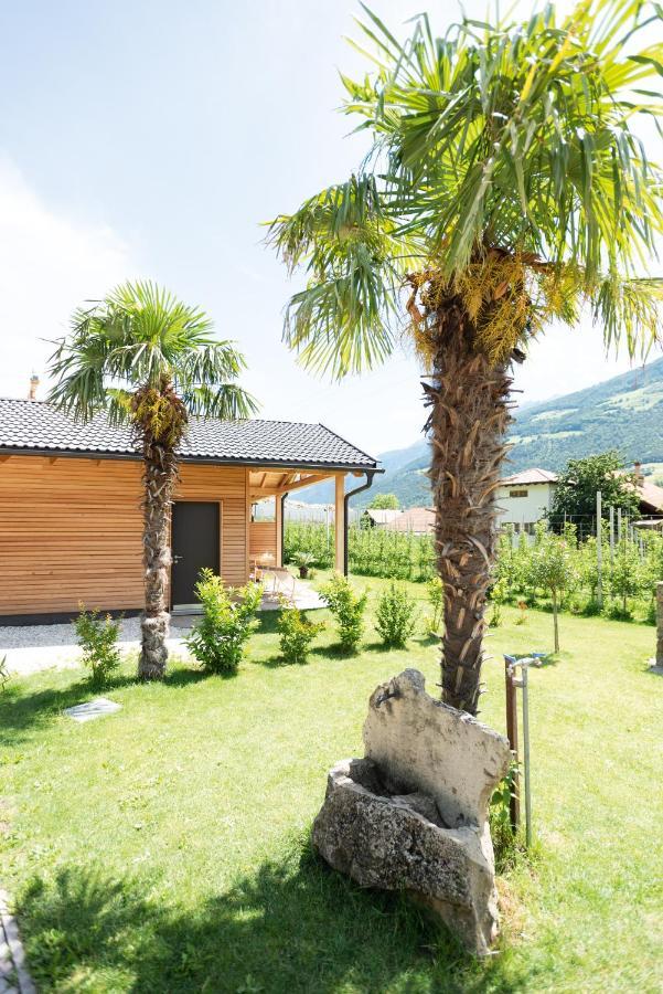 Pixnerhof - Urlaub Am Biohof Apartment Castelbello Luaran gambar